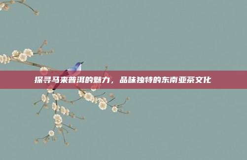 探寻马来普洱的魅力，品味独特的东南亚茶文化