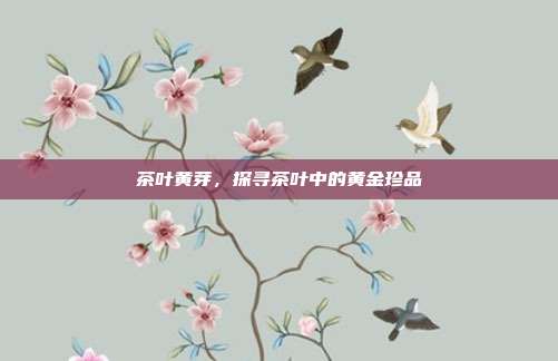 茶叶黄芽，探寻茶叶中的黄金珍品