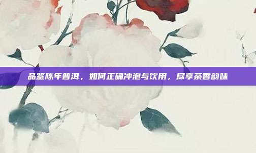 品鉴陈年普洱，如何正确冲泡与饮用，尽享茶香韵味