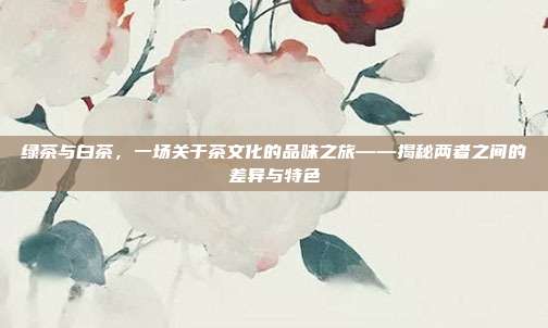 绿茶与白茶，一场关于茶文化的品味之旅——揭秘两者之间的差异与特色