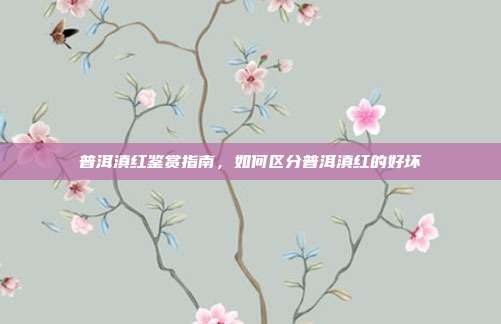 普洱滇红鉴赏指南，如何区分普洱滇红的好坏