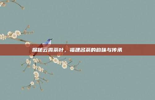 探秘云霄茶叶，福建名茶的韵味与传承