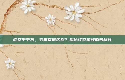 红茶千千万，究竟有何区别？揭秘红茶家族的多样性