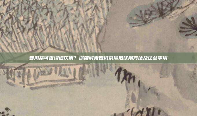 普洱茶可否浸泡饮用？深度解析普洱茶浸泡饮用方法及注意事项