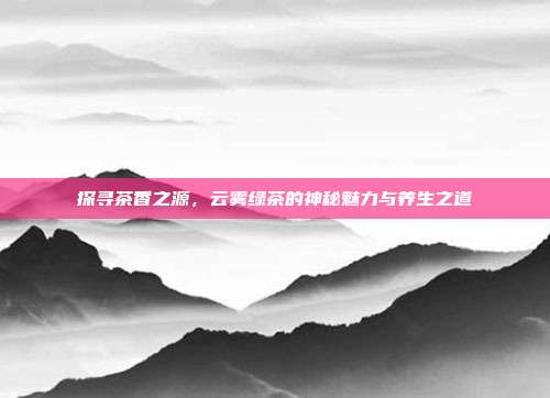 探寻茶香之源，云雾绿茶的神秘魅力与养生之道