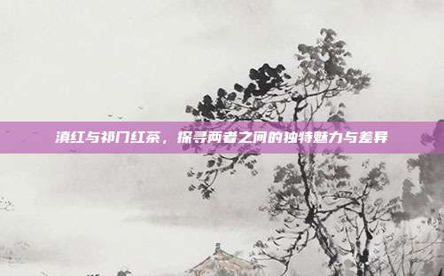 滇红与祁门红茶，探寻两者之间的独特魅力与差异