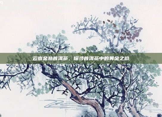 云南金熟普洱茶，探寻普洱茶中的黄金之韵