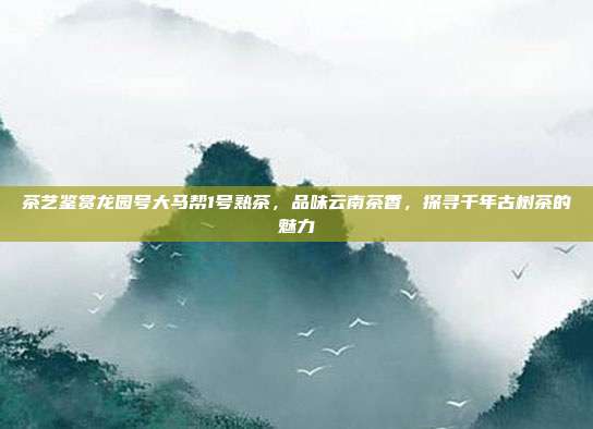 茶艺鉴赏龙园号大马帮1号熟茶，品味云南茶香，探寻千年古树茶的魅力