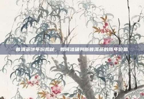普洱茶饼年份揭秘，如何准确判断普洱茶的陈年价值
