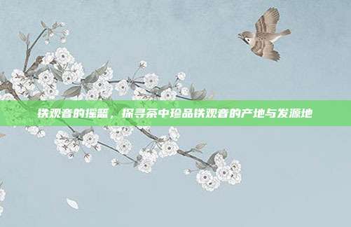 铁观音的摇篮，探寻茶中珍品铁观音的产地与发源地