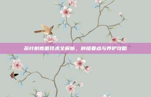 茶叶树育苗技术全解析，种植要点与养护攻略