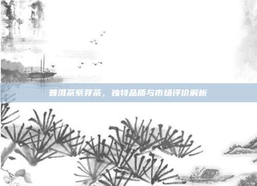 普洱茶紫芽茶，独特品质与市场评价解析
