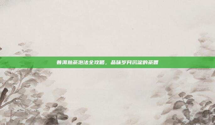 普洱熟茶泡法全攻略，品味岁月沉淀的茶香