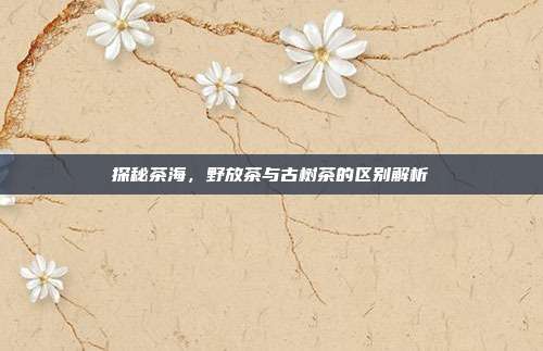 探秘茶海，野放茶与古树茶的区别解析