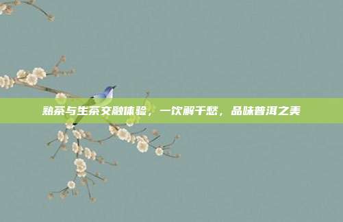 熟茶与生茶交融体验，一饮解千愁，品味普洱之美