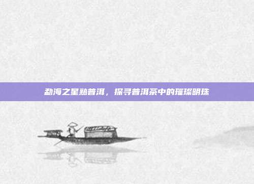 勐海之星熟普洱，探寻普洱茶中的璀璨明珠