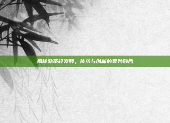 揭秘熟茶轻发酵，传统与创新的美妙融合
