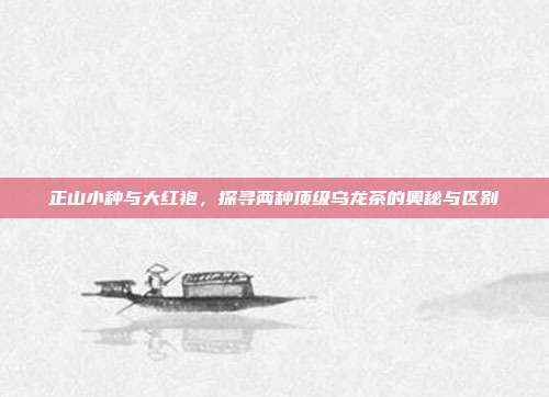 正山小种与大红袍，探寻两种顶级乌龙茶的奥秘与区别
