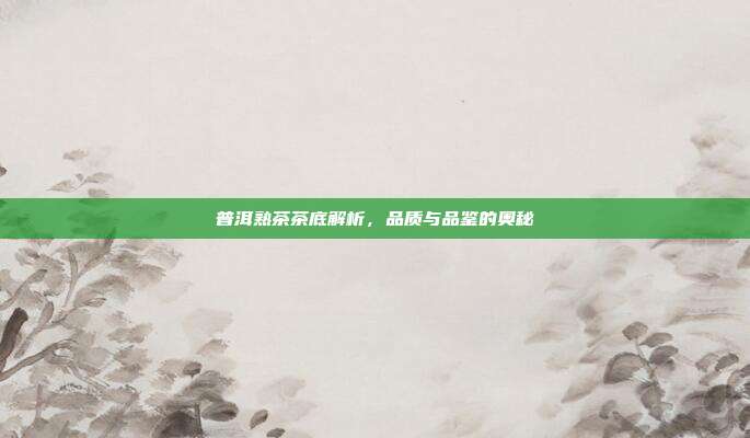 普洱熟茶茶底解析，品质与品鉴的奥秘