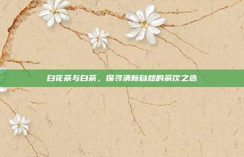 白花茶与白茶，探寻清新自然的茶饮之选