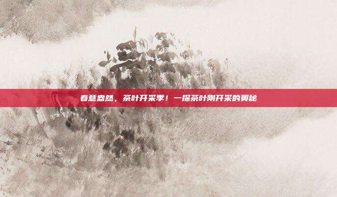 春意盎然，茶叶开采季！一探茶叶刚开采的奥秘