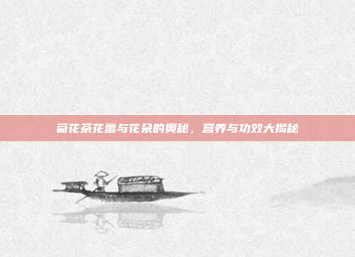 菊花茶花蕾与花朵的奥秘，营养与功效大揭秘