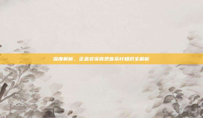 深度解析，正品安溪铁观音茶叶知识全解析