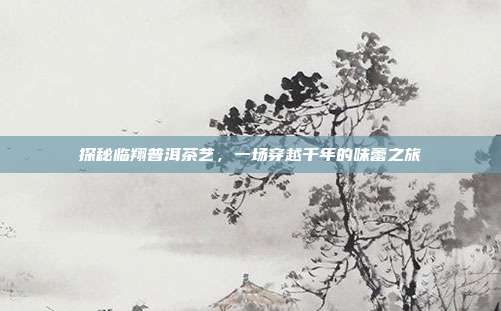 探秘临翔普洱茶艺，一场穿越千年的味蕾之旅