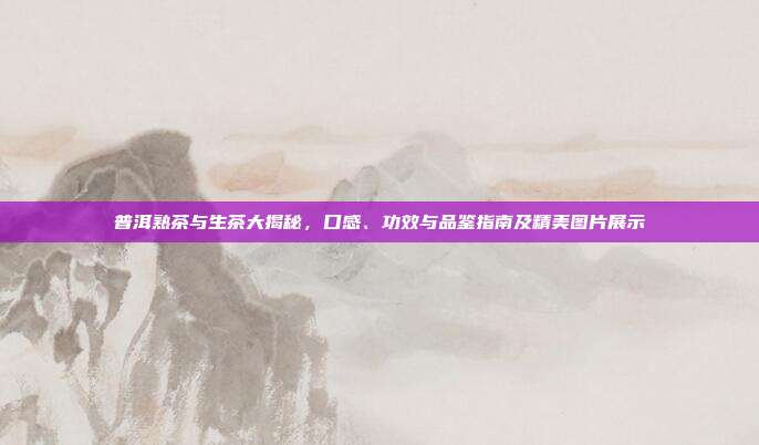 普洱熟茶与生茶大揭秘，口感、功效与品鉴指南及精美图片展示