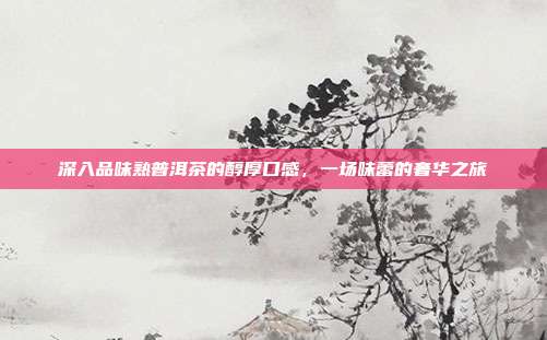 深入品味熟普洱茶的醇厚口感，一场味蕾的奢华之旅