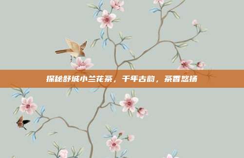 探秘舒城小兰花茶，千年古韵，茶香悠扬
