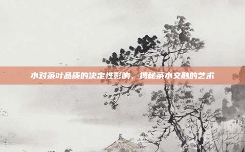 水对茶叶品质的决定性影响，揭秘茶水交融的艺术