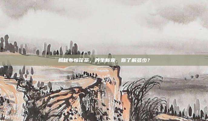 揭秘布惊花茶，养生新宠，你了解多少？