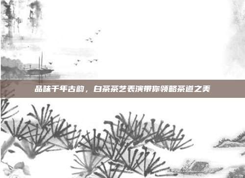 品味千年古韵，白茶茶艺表演带你领略茶道之美