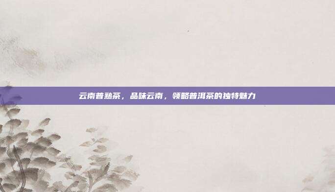 云南普熟茶，品味云南，领略普洱茶的独特魅力