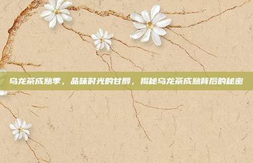 乌龙茶成熟季，品味时光的甘醇，揭秘乌龙茶成熟背后的秘密