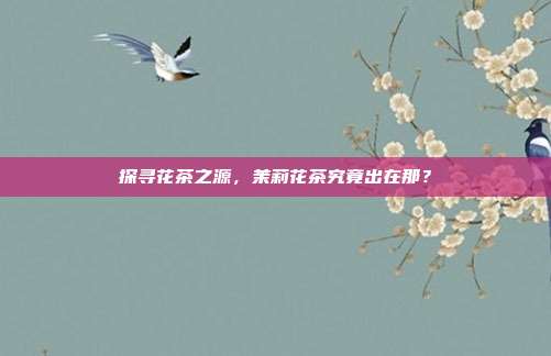 探寻花茶之源，茉莉花茶究竟出在那？