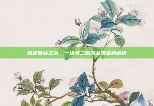 碧螺春茶之别，一级与二级的品味差异解析