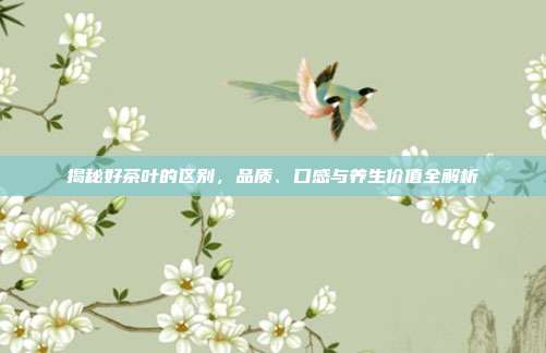 揭秘好茶叶的区别，品质、口感与养生价值全解析
