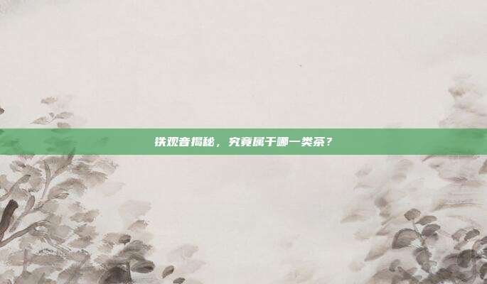 铁观音揭秘，究竟属于哪一类茶？