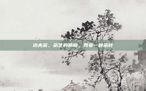 功夫茶，茶艺的精髓，而非一种茶叶