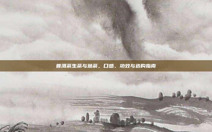 普洱茶生茶与熟茶，口感、功效与选购指南