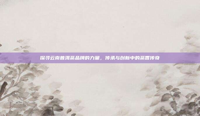 探寻云南普洱茶品牌的力量，传承与创新中的茶香传奇