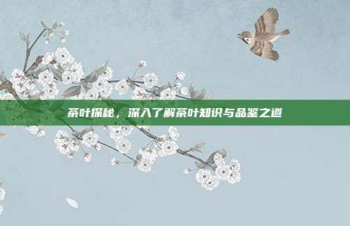茶叶探秘，深入了解茶叶知识与品鉴之道