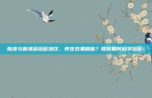 陈皮与普洱茶搭配泡饮，养生效果翻倍？教你如何科学搭配！