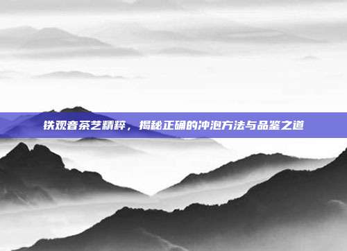 铁观音茶艺精粹，揭秘正确的冲泡方法与品鉴之道