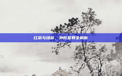 红茶与绿茶，外形差异全解析