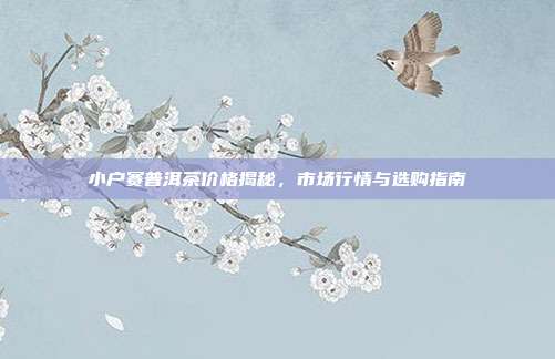 小户赛普洱茶价格揭秘，市场行情与选购指南