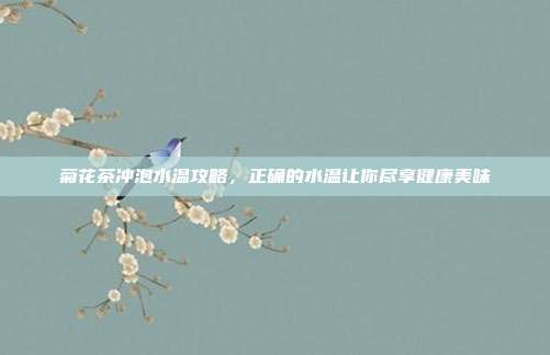 菊花茶冲泡水温攻略，正确的水温让你尽享健康美味