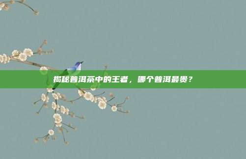 揭秘普洱茶中的王者，哪个普洱最贵？